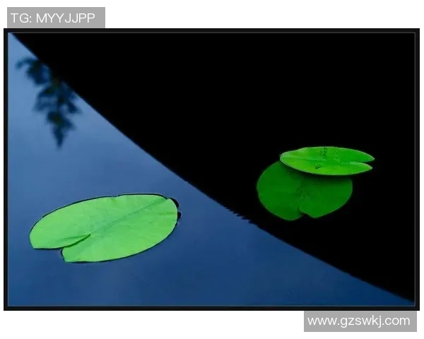 萨林杰的文学世界与心灵探索：从麦田里的守望者看人生的孤独与追寻